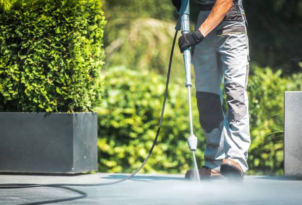 Best Roof Washing  in Doylestown, OH